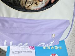 -心语宠物医院·急重症转诊中心·瑞辰华诺(南青路店)