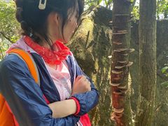 -鸡枕山