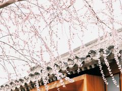 -三里河公园