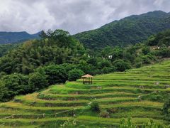 -石台牯牛降景区