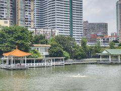 -荔湾湖公园