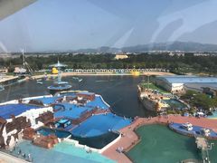 -秦皇岛乐岛海洋王国