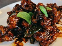 -羲和雅苑•北京烤鸭(平安国际金融中心店)