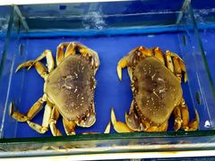 -海鲜城大家餐厅