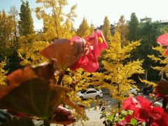 -黔蘑菇四季餐厅(观山湖店)