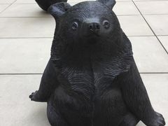 -凤凰中心