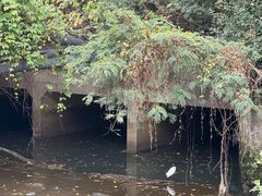 -华侨城湿地公园