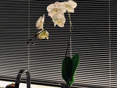 -上海璞麗酒店