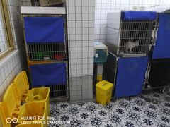 -可蒙动物医院·猫科·骨科中心(首义路店)