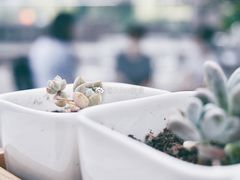 -UNI UNI(环亚凯瑟琳店)