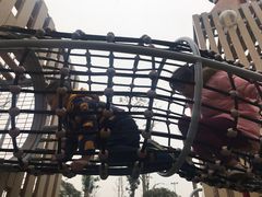 -枫香湖儿童公园