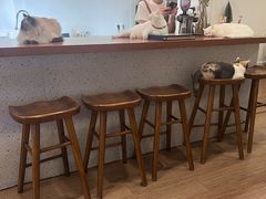-有猫主题·治愈系猫咖(曾厝垵店)