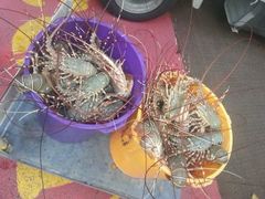 android_upload_pic-无招牌海鲜餐厅(滨海艺术中心店)
