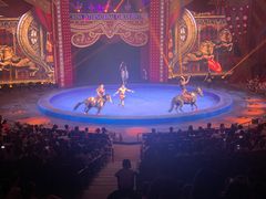 -珠海横琴长隆《卡卡虎奇遇记》