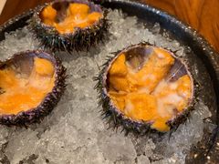 海胆刺身-Mr·Fish鱼鲜生海鲜放题(银泰in99店)