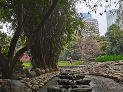 -成都市活水公园