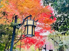 -深业半汤御泉庄温泉