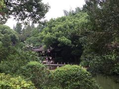 -汇龙潭