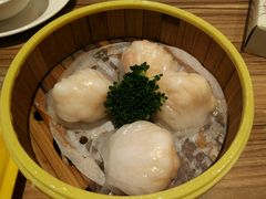 -粤港餐厅(禹州商业广场店)