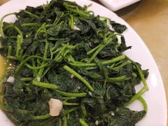 -鸿达渔港