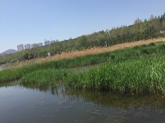 -前关湿地公园