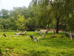 -秦皇岛野生动物园
