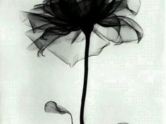 -乐圣量贩KTV自助餐(崇文店)