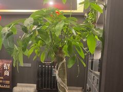 -鹿栖.精油SPA(金山世纪城店)