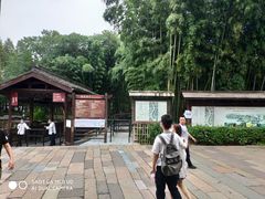 -乌镇东栅景区