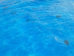 -上海玛雅海滩水公园