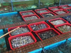 -景好海鲜餐厅(大鹏必选旅游店)