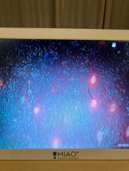 -韩国淼美颜皮肤管理官方直营店