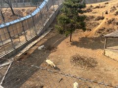 -石家庄市动物园