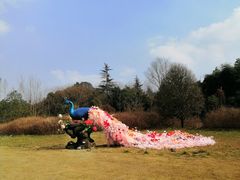 -三圣花乡旅游区