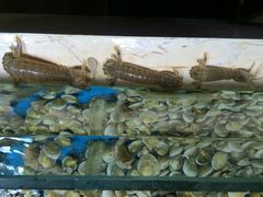 -旺顺阁海鲜广场(亚运村店)