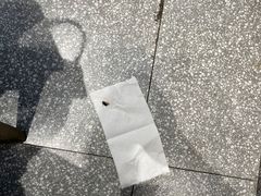 -小杨生煎(金山百联购物中心3楼店)