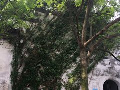 景点-嘉兴月河历史街区