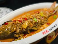 -阿五黄河大鲤鱼(英协路店)