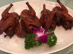 乳鸽-南海渔村(珠江新城店)
