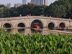 -荔湾湖公园