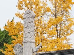 -苏州文庙(姑苏区)