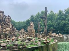 -合肥野生动物园