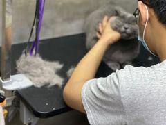 -PETKIT小佩宠物·低压洗护(国顺东路店)