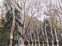 -音乐台