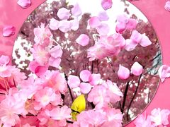 -首开·龙湖成都西宸天街