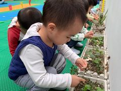 -奇乐全日制婴儿学校·早教