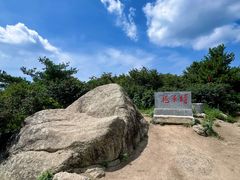 -王顺山国家森林公园