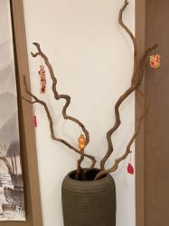 -御品•瑶浴灸疗SPA