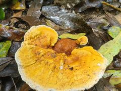 -七仙岭温泉国家森林公园