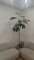 -HEYAN荷妍专业脱毛连锁机构